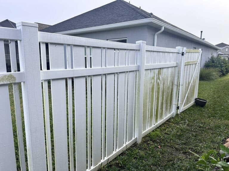 Fence (2)