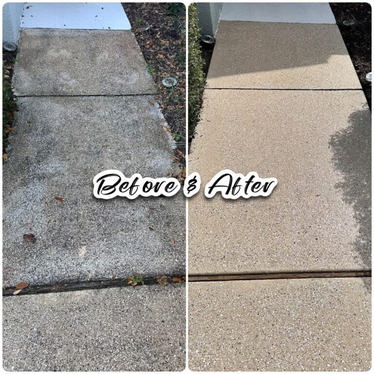 Paver (10)