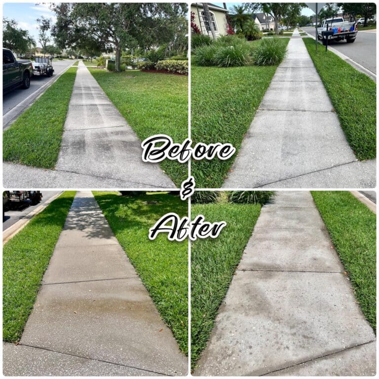 Paver (17)