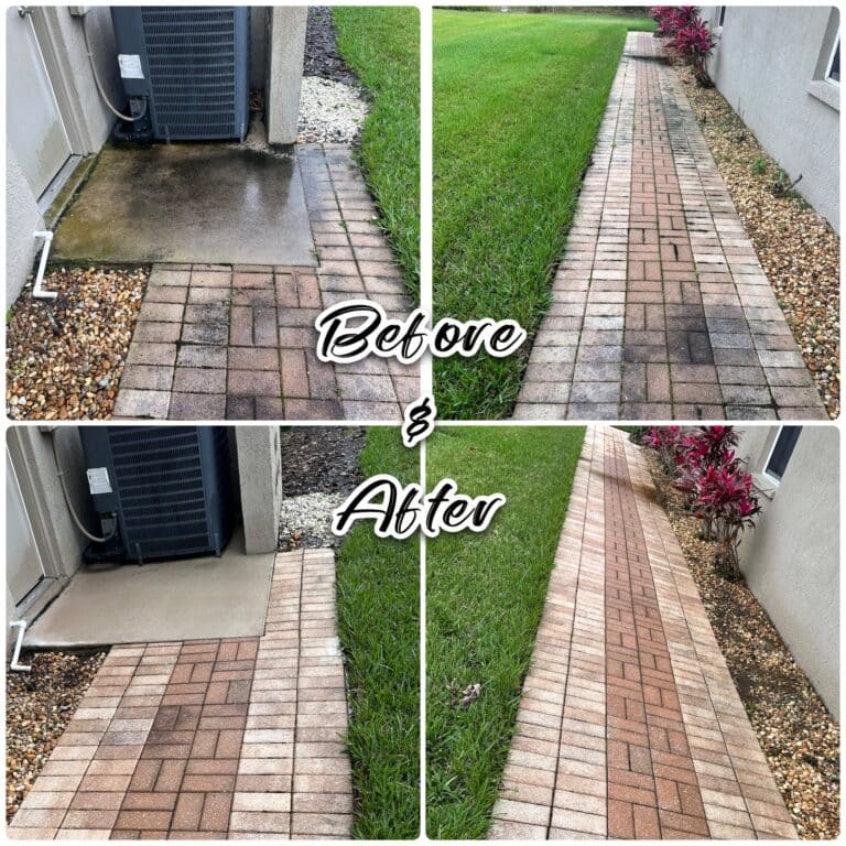 Paver (22)